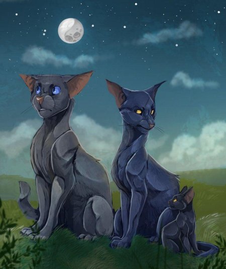 Сумеречница коты воители