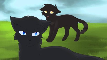Коты воители грач и сумеречница
