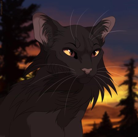 Сумеречница коты воители