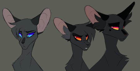 Коты воители грач и сумеречница