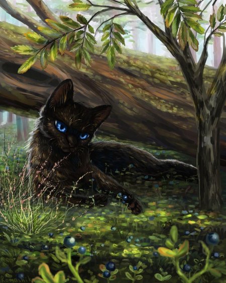 Красивые арты котов воителей