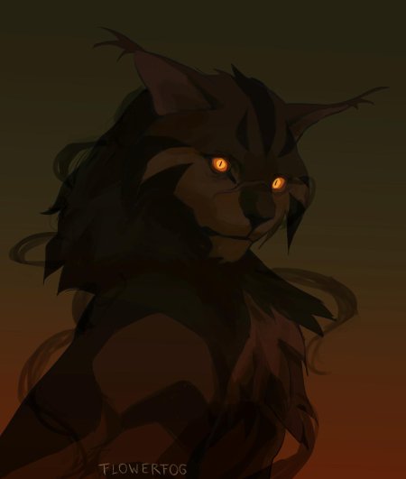 Коты воители звездоцап