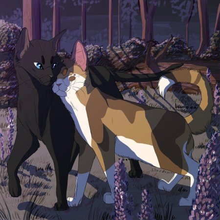 Коты воители листвичка и грач