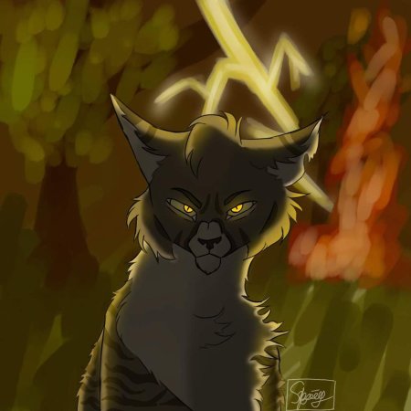 Коты воители чернохват