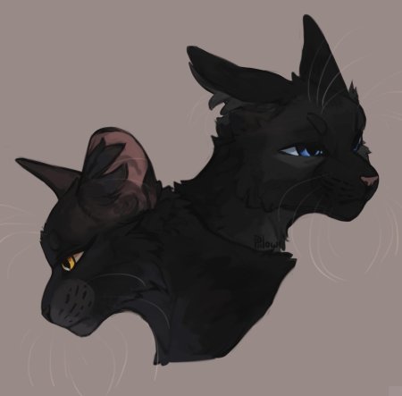 Коты воители грач и сумеречница