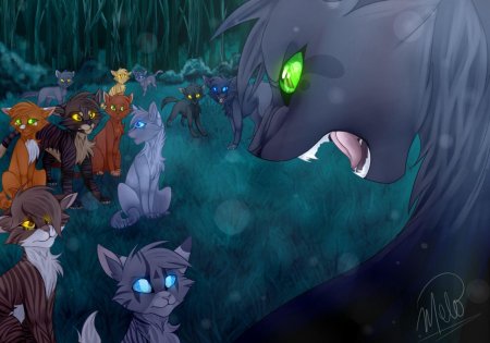 Остролистая коты воители