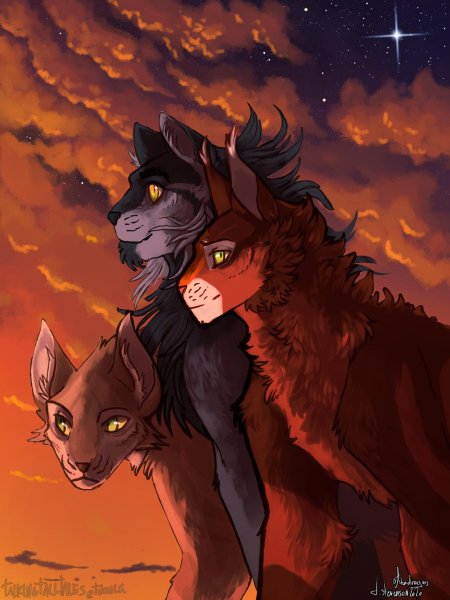 Коты воители огнезвёзд и крутобок