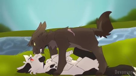 Коты воители быстролап и веснянка