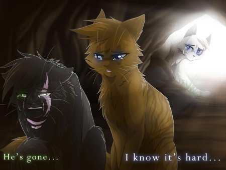 Коты воители river spirit воительница