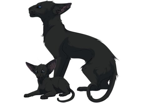 Коты воители грач