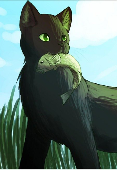 Коты воители остролистая