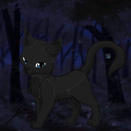 Коты воители моросинка