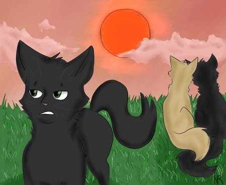 Коты воители остролистая плачет