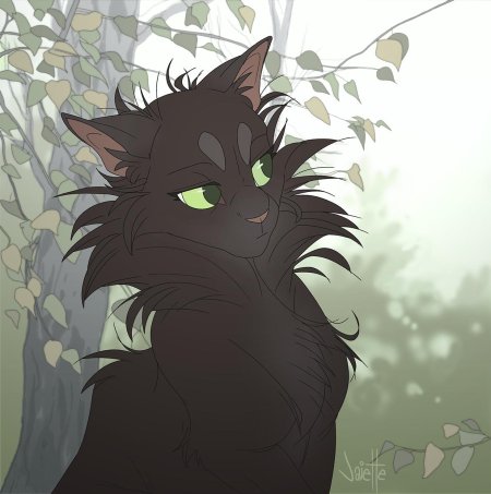 Коты воители остролистая арт