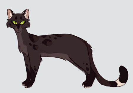 Коты воители иллюстрации