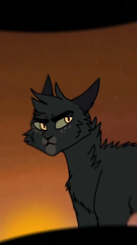 Коты воители знамение звезд