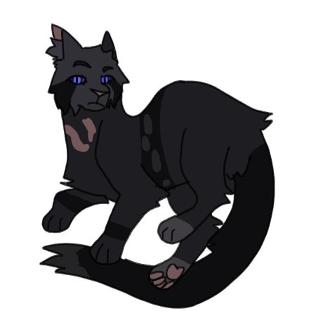 Коты воители кот