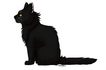 Коты воители чёрный кот