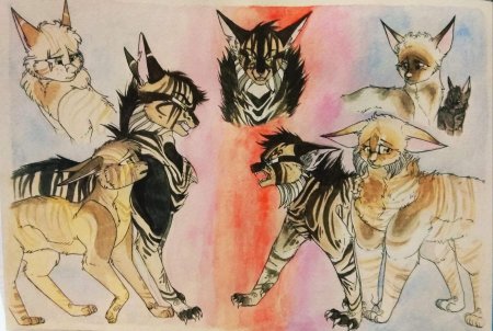 Коты воители айки