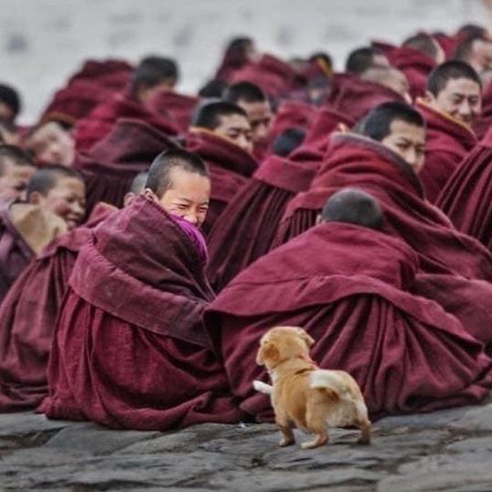 Буддийские монахи