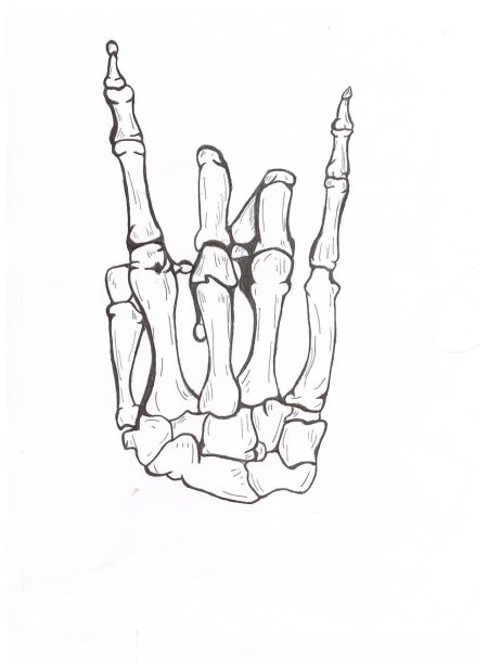 Рука скелет