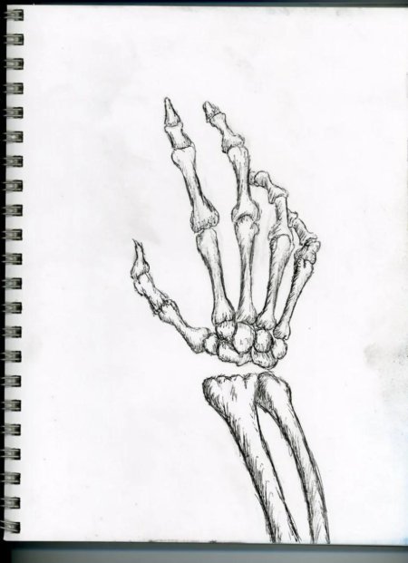 Рука скелета рисунок