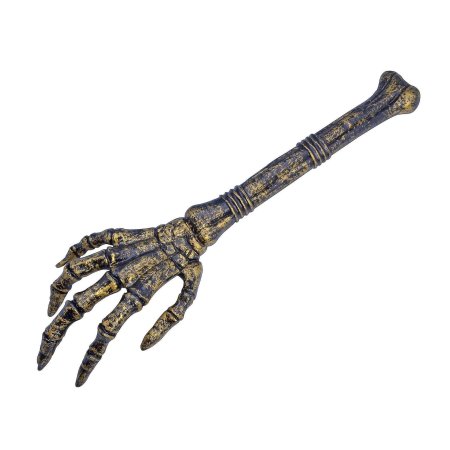 Кости скелет