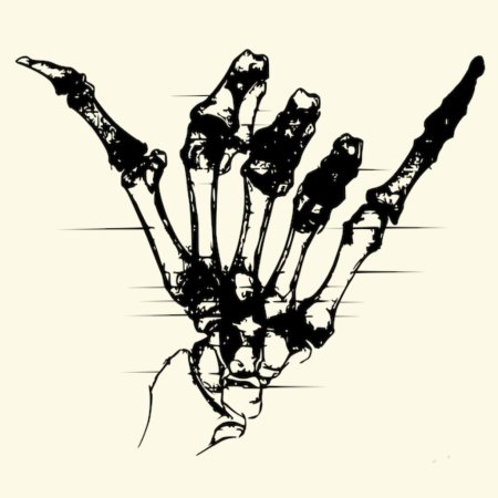 Скелет кисти