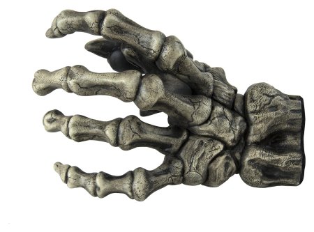 Скелет кисти руки человека