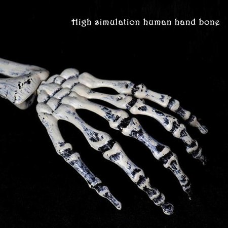 Рука скелет