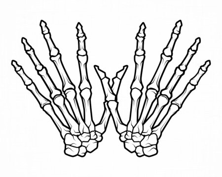 Рука скелет