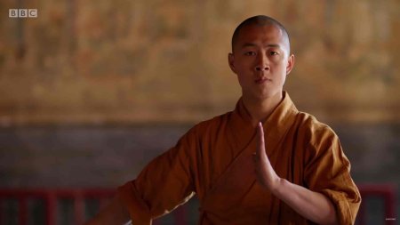 Лысый монах шаолинь