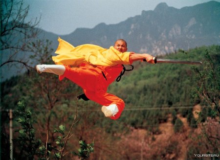 Шаолинь кунг фу