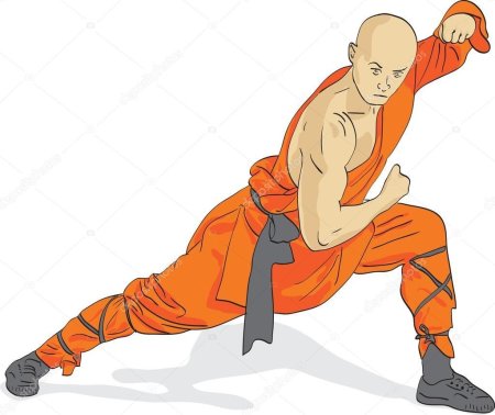 Монах воин шаолинь