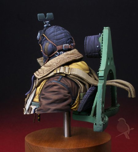 Британский пилот