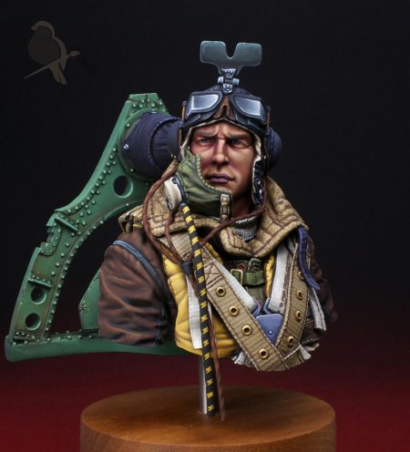 Миниатюра пилот