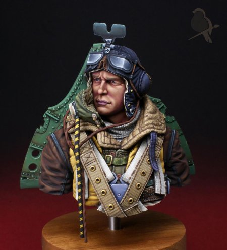 Пилот истребителя