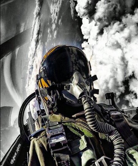 Пилот истребителя баттерфилд