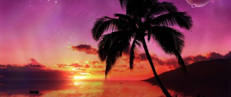 Море пальмы закат