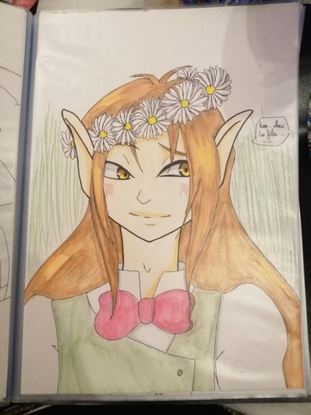 Палладиум винкс арт