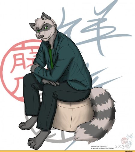 Парень енот