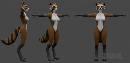 Фурри енотиха