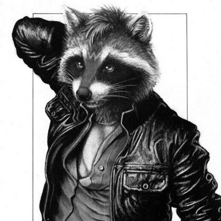 Енот в пиджаке