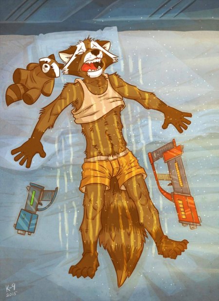 Фурри ракета