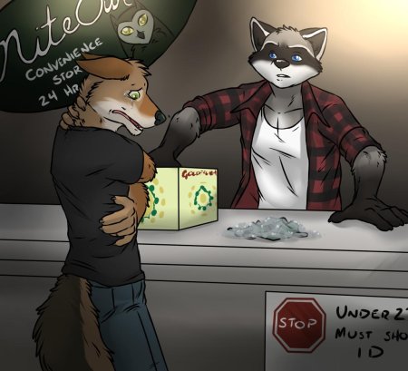 Фурри лиса и енот