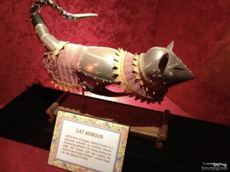 Доспехи кота тауэр