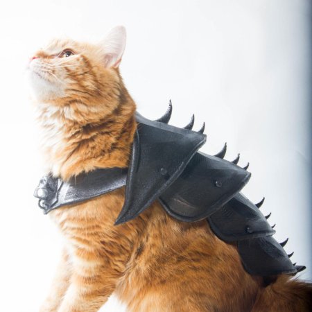 Кот в доспехах