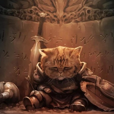 Каджит рыцарь