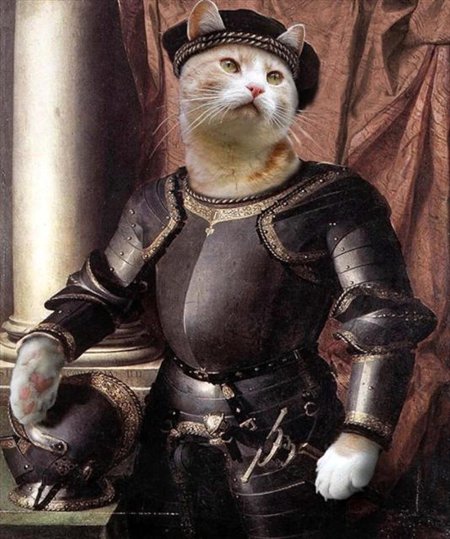 Доспехи для кота