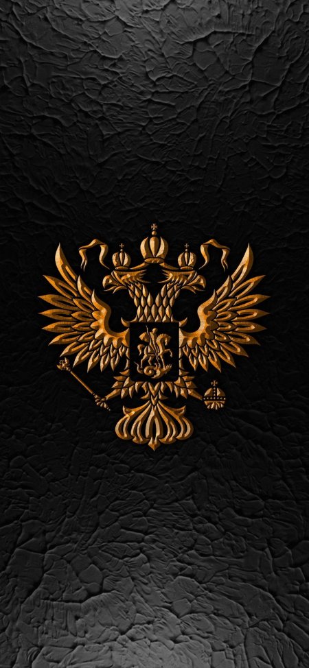 Герб россии красивый